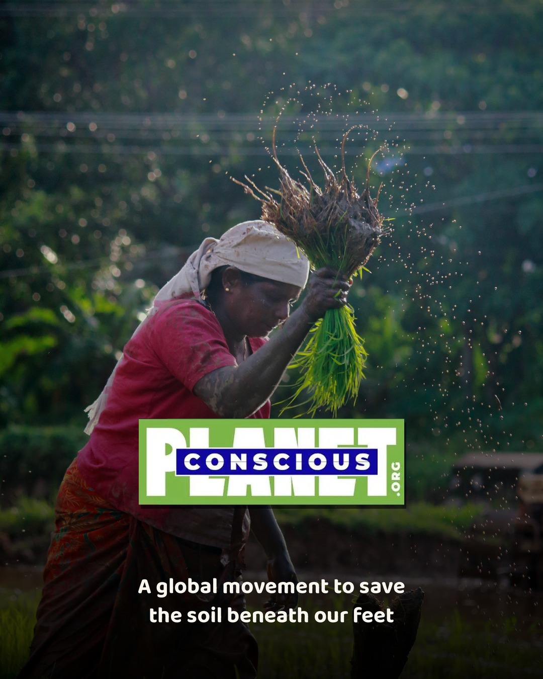 Conscious Planet — a global movement to save the soil beneath our feet